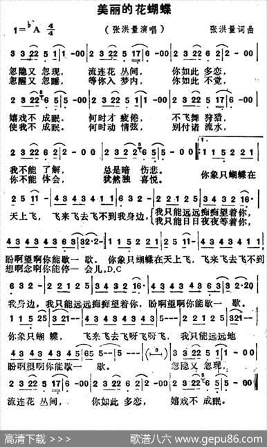 美丽的花蝴蝶（张洪量词张洪量曲） - 张洪量|张洪量