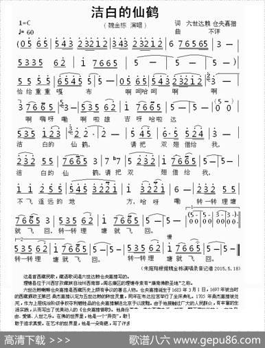 洁白的仙鹤