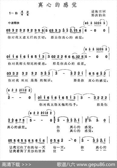 真心的感觉 - 逯海田|郭洪钧