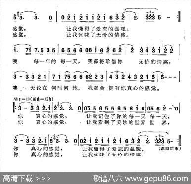 真心的感觉 - 逯海田|郭洪钧