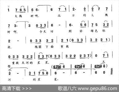 北方的大槐树（黎琦词陈枫曲） - 黎琦|陈枫