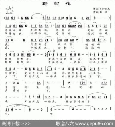 野菊花（乡村之恋词南风曲） - 乡村之恋|南风