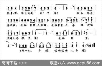秧苗与稗草 - 龙龙|龙龙