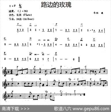 路边的玫瑰|韦伯