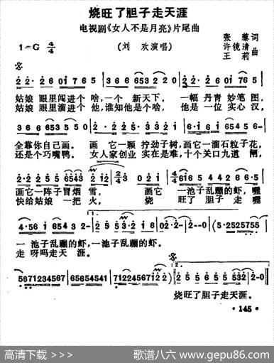 烧旺了胆子走天涯（电视剧《女人不是月亮》片尾曲） - 张藜|许镜清、王莉