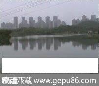 叫我怎能不爱她（简谱版） - 燕熙|燕熙