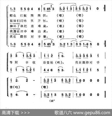 栽秧情歌（男女声对唱） - 殷大德|王原平