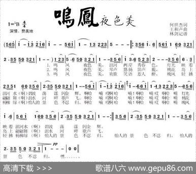鸣凤夜色美 - 何世杰|王和声