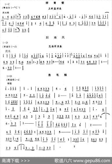 民间唢呐曲：柳青芽、刮地风、急毛猴