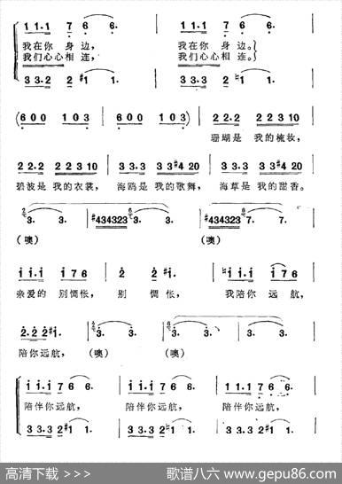 伴你远航 - 阮美美|张卓娅