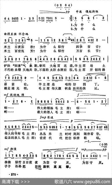 米兰棕竹敬献给毛主席纪念堂 - 朱平|陈镇光