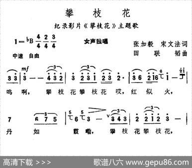 攀枝花（纪录片《攀枝花》主题歌） - 张加毅、宋文法|田联韬