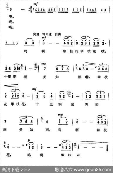 攀枝花（纪录片《攀枝花》主题歌） - 张加毅、宋文法|田联韬