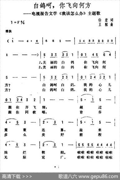 白鸽呵，你飞向何方（电视报告文学《我该怎么办》主题歌） - 徐虹|王酩