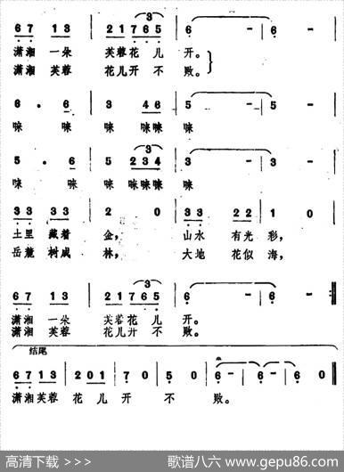 快到芙蓉国里来 - 张藜|金凤浩