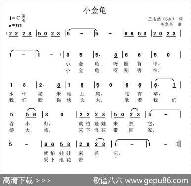 小金龟 - 王志然|韦龙冬