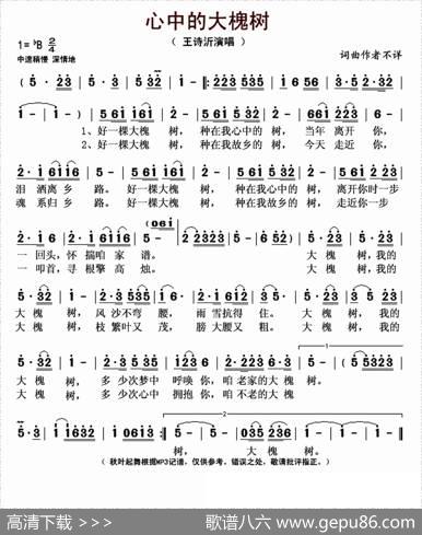 心中的大槐树