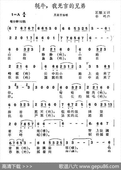 牦牛，我无言的兄弟 - 石顺义|羊鸣