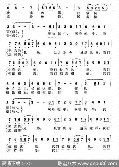 牦牛，我无言的兄弟 - 石顺义|羊鸣