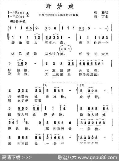 野姑娘（电视剧《还是那条街》主题曲） - 张藜|马丁