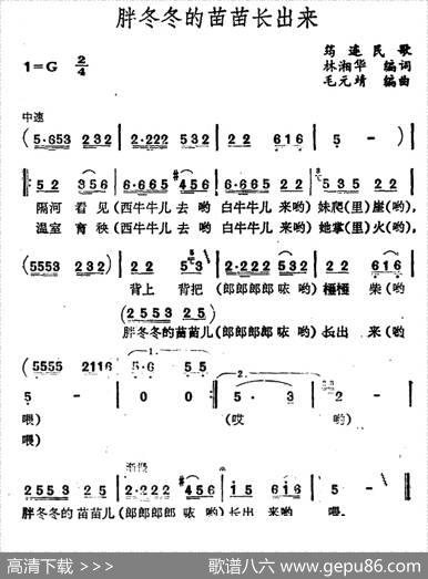 胖冬冬的苗苗长出来 - 林湘华编词|毛元靖编曲
