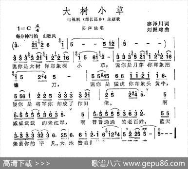 大树小草（电视剧《部长还乡》主题曲） - 廖泽川|刘振球