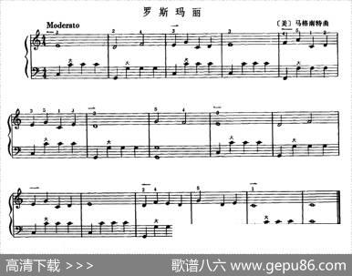 罗斯玛丽|马格南特