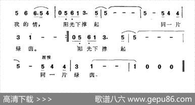 阳光下撑起同一片绿茵 - 王晓岭|王黎光