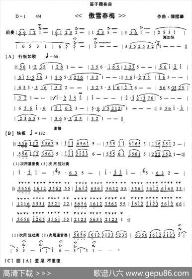 傲雪春梅|陈国华