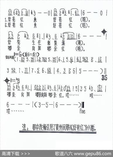 好花几度红 - 逸然如歌（杨军）|逸然如歌（杨军）