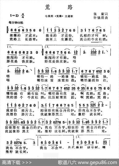 荒路（电视剧《荒路》主题曲） - 张藜|许镜清