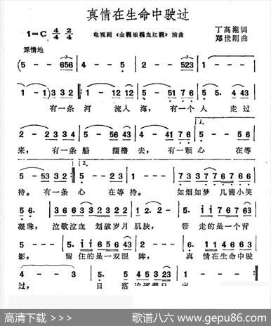 真情在生命中驶过（电视剧《金幌银幌血红幌》插曲） - 丁高潮|郑世刚