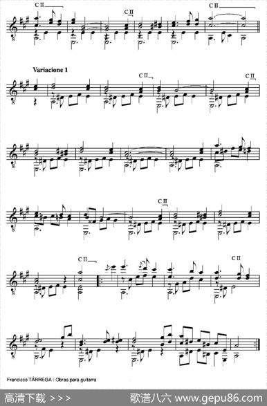 ELCARNAVALDEVENECIA(GrandevariacionessobreuntemadeNiccoloPaganini)（古典吉他）|弗朗西斯科·泰雷加FranciscoTarrega(1852-1909)