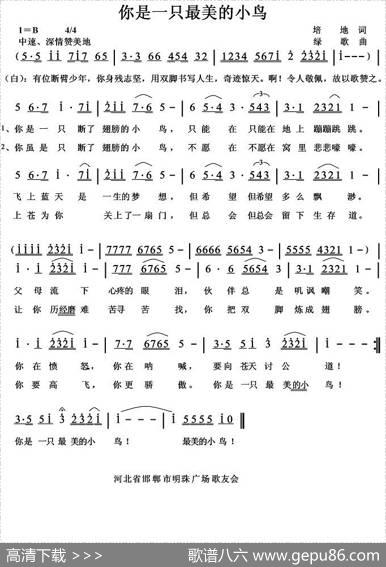 你是一只最美的小鸟 - 培地|绿歌