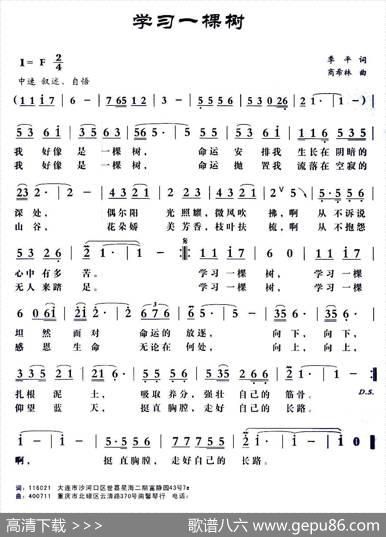 学习一棵树 - 季平|商希林