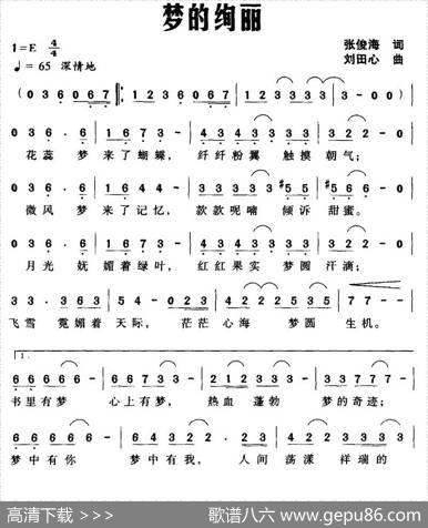 梦的绚丽 - 张俊海|刘田心