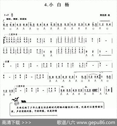 小白杨|樊祖荫