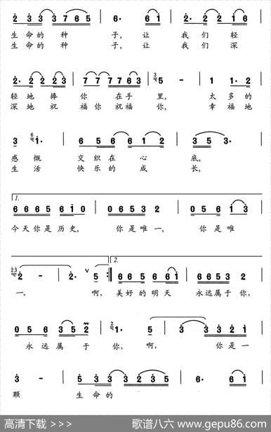生命的种子 - 张海宁|舒京