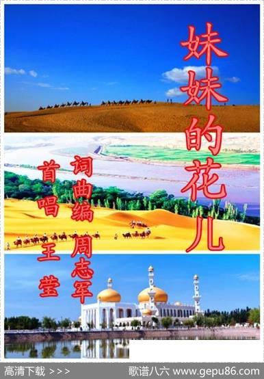 妹妹的花儿 - 周志军|周志军