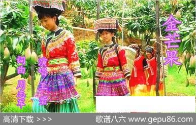 金芒果（女声二重唱） - 周志军|周志军