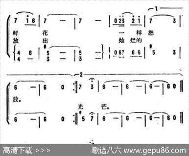 啊，光荣的护士民兵 - 刘申五|许民