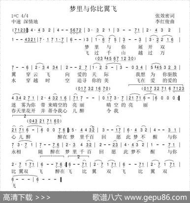 梦里与你比翼飞（张效密词李红俊曲） - 张效密|李红俊