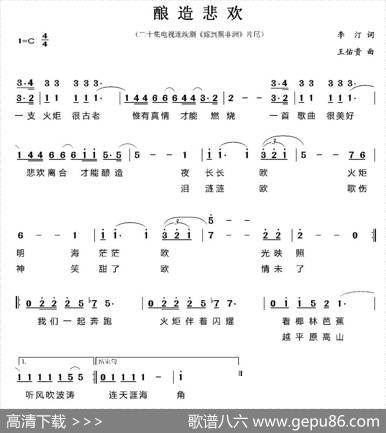 酿造悲欢（电视剧《嫁到黑非洲》片尾歌） - 李汀|王佑贵