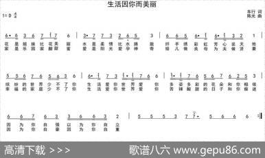生活因你而美丽 - 车行|陈光