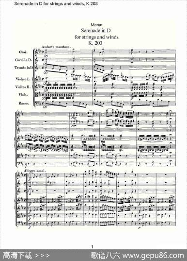 SerenadeinDforstringsandwinds,K.203（D调管弦乐小）