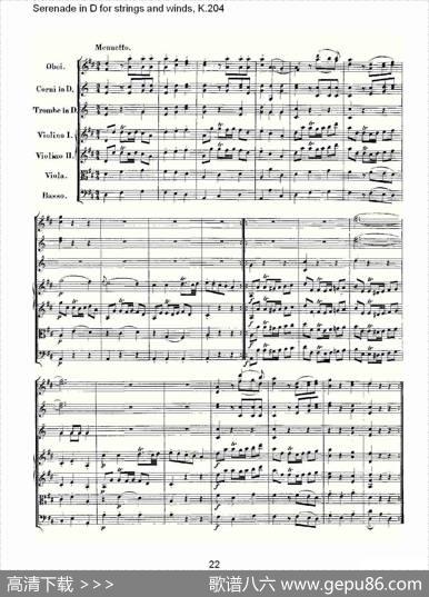 SerenadeinDforstringsandwinds,K.204（D调管弦乐小）