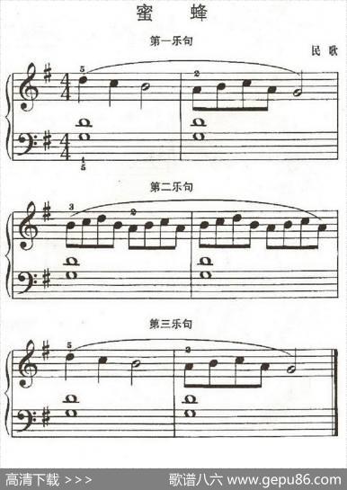 蜜蜂|约翰·汤普森