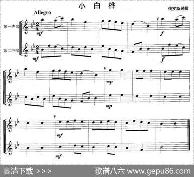 小白桦（重奏）