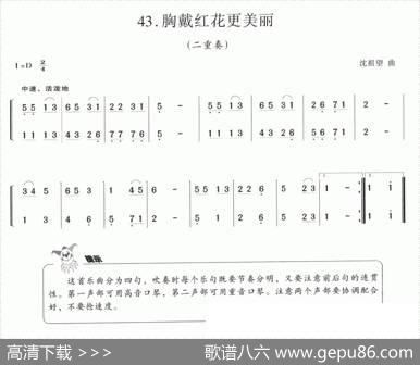 胸戴红花更美丽（二重奏）|沈祖望