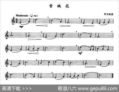 雪绒花（电影《音乐之声》插曲）